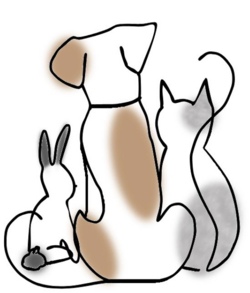 tierheimlogo_bunt-1.png