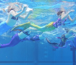 mermaiding.jpg