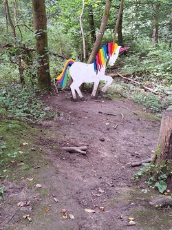 20240809_112156.jpg