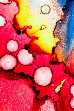 action painting1.jpg