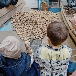 whatsapp image 2026-02-06 at 8.jpg