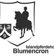 bild4.jpg