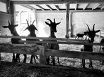 img_0404.jpeg