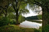 weiher.jpg