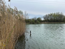 img-20250413-wa0180.jpg
