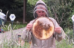 imker mit bienen3 quer.jpg