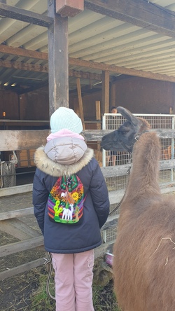 foto lama goldach.jpg