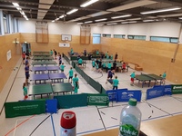 20170710_082409.jpg