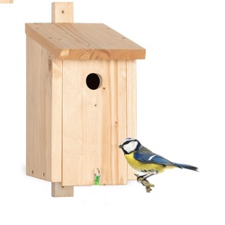 vogelnistkasten.jpg