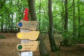 barfusspark-egestorf-1601047.jpg