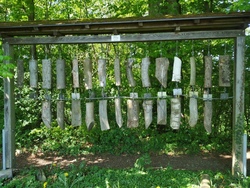 gartenbauverein taching 1.jpg