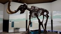 awo_mammutmuseum siegsdorf .jpg