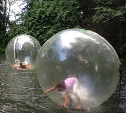 zorbing.jpg