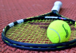 tennis-3552164_1280.jpg