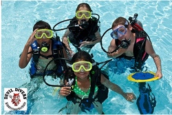 padi_sealteam1.jpg
