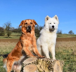 nala und malou.jpg