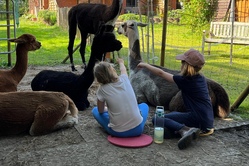 kinder-tierzeit_k-r1_5.jpg