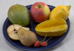 obstteller.jpg