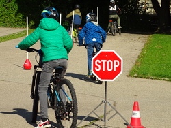 100msd-dsc08478_dsc08478.jpg
