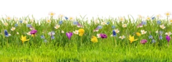 standard foto gartenschau.png