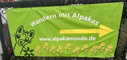 eingang alpaka.jpg