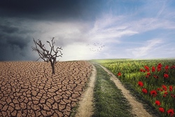 klimawandel.jpg