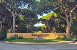 cieloverde.jpg
