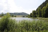 _dsc0095.jpg