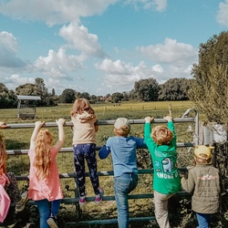 whatsapp image 2026-02-04 at 5.jpg