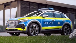 bild1.jpg