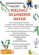 2026_sommer_kinder_1.jpg