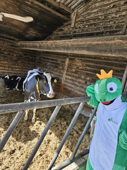 kein tag ohne milch 3.jpg