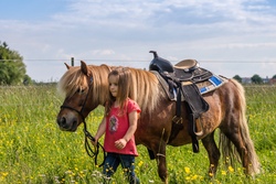 laura & sheltie_26mai19-7.jpg