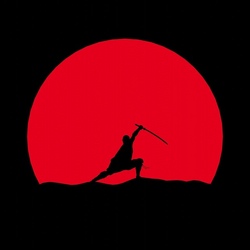 ninja.jpg