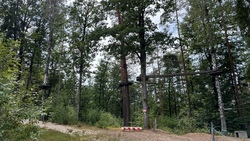 wald 2.jpg