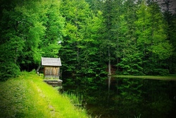 weiher.jpg