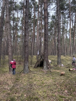 wald1.png