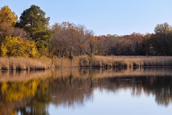 teich.jpg