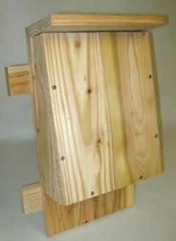 fledermauskasten1.jpg