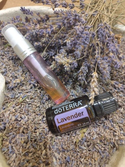kufer patricia lavendel.jpg
