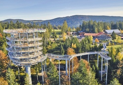 waldwipfelweg.jpg