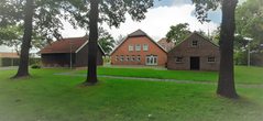 20200706_121556.jpg