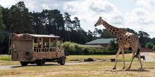 7__serengeti-park_in_hodenhagen.jpeg