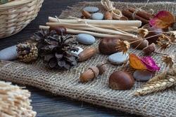 basteln-mit-naturmaterialien.jpg