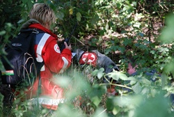 rettungshundebrk2.jpg