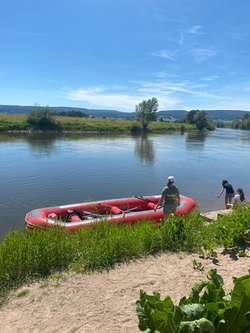 whatsapp image 2025-04-30 at 09.49.32.jpg