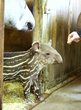 tierpark stroehnen 4.jpg