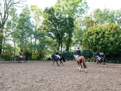 rvl_turnier_2016_0965.jpg