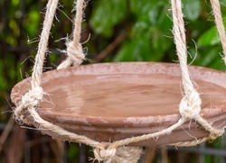 screenshot vogeltränke.jpg