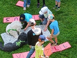 20250714_103618.jpg